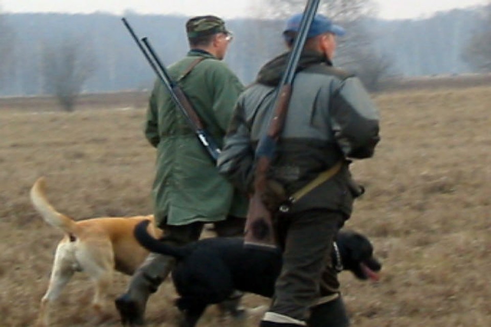 Угодий общего пользования у нас не так много.