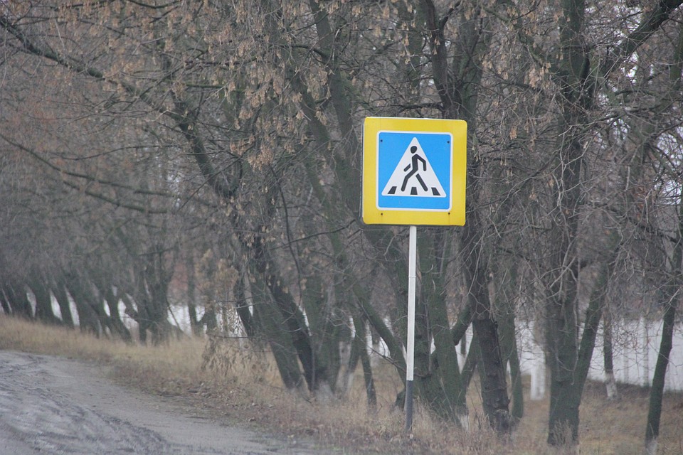 Вероятно, водитель даже не успел заметить пешехода
