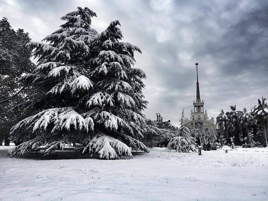 Фото: Екатерина Золотова