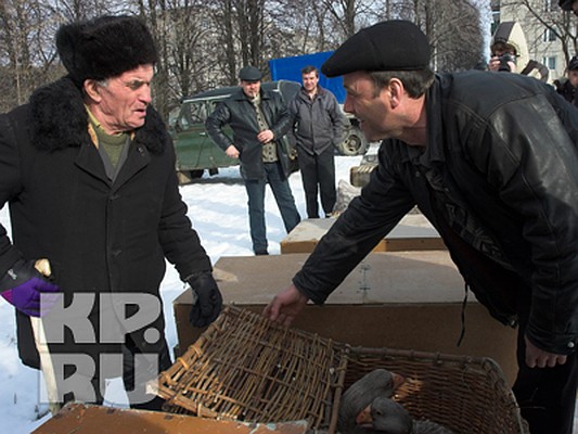 Фото: Николай Михайлов.