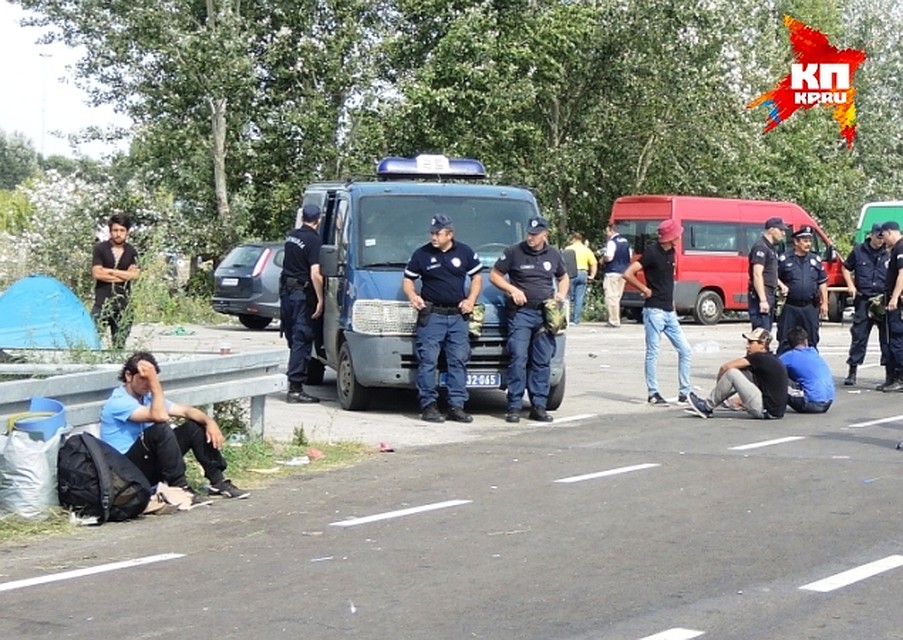 Венгры строят на пограничном пункте вторую линию обороны из колючей проволоки Фото: Дарья АСЛАМОВА