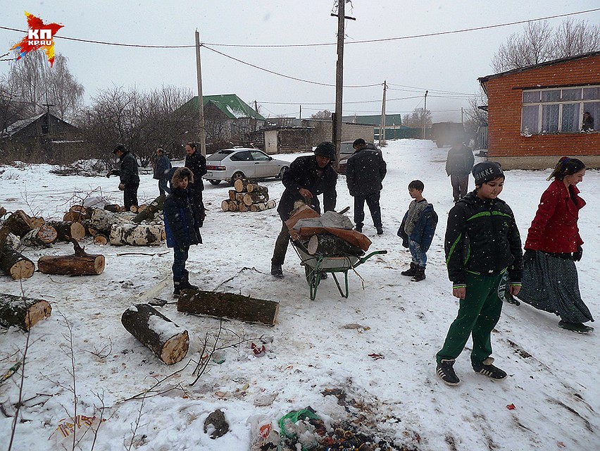 В тульское Плеханово, где на днях отключили цыган от газа (и дабы их успокоить после этого пришлось вызывать ОМОН), теперь привезли дрова. Вывалили – бери, кто хочет! Добро бесплатное! Фото: Николай ВАРСЕГОВ