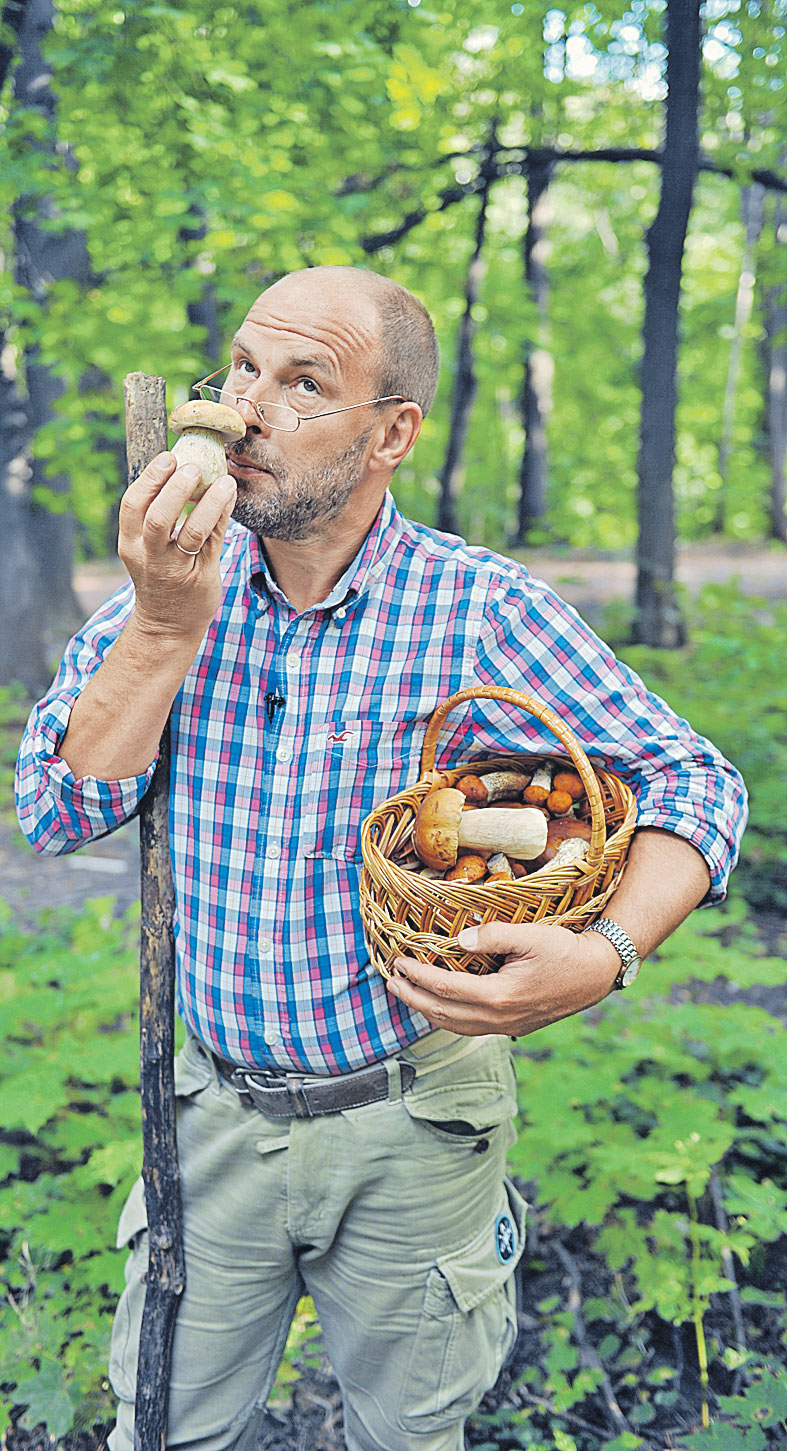 - Один грибочек беру, на второй смотрю, третий примечаю... 