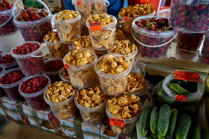 Ароматнейшие лисички. Фото: Алиса СТАРОСТИНА