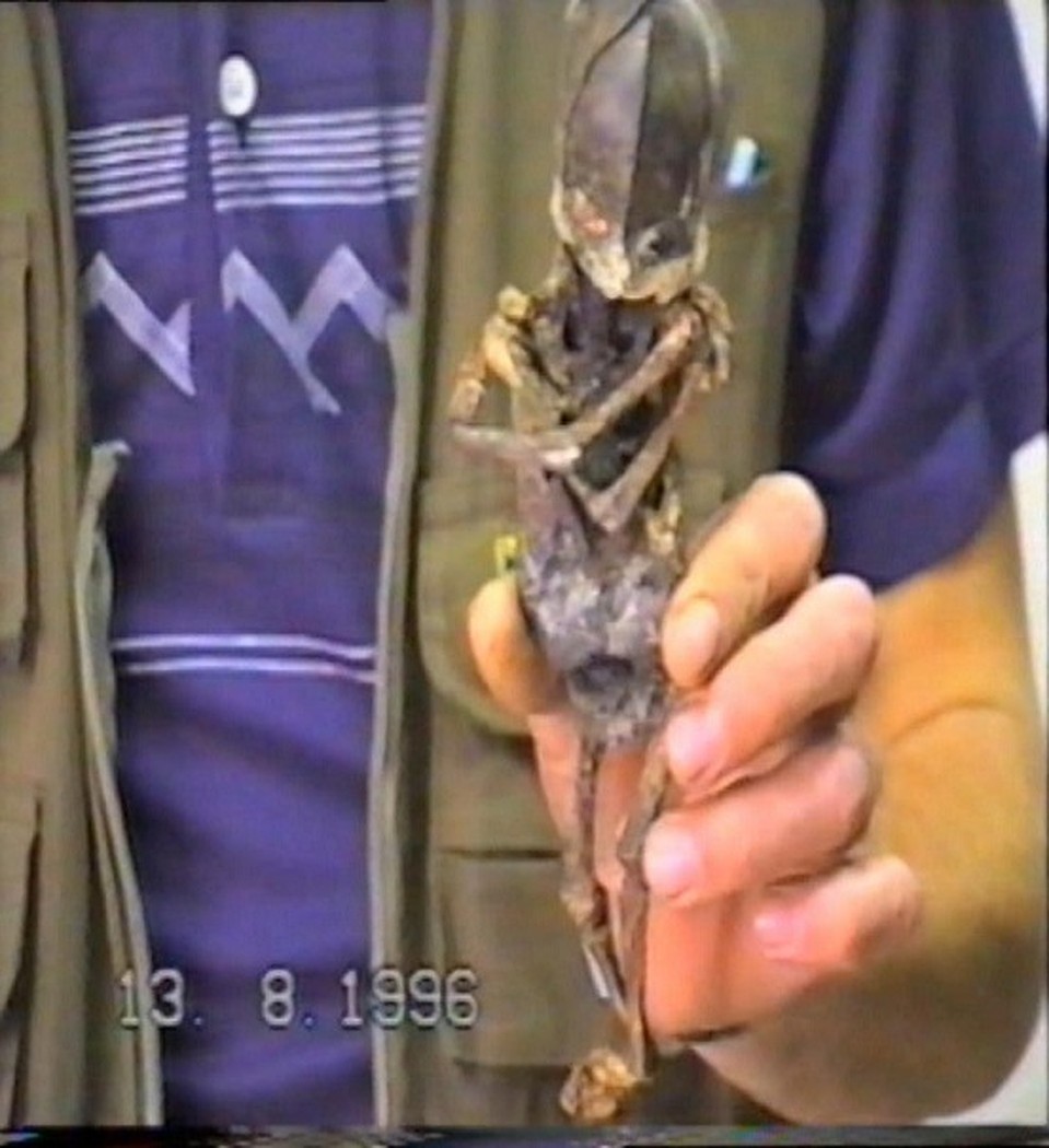 Мумия пришельца пропала в 1996 году Фото: Владимир БЕНДЛИН