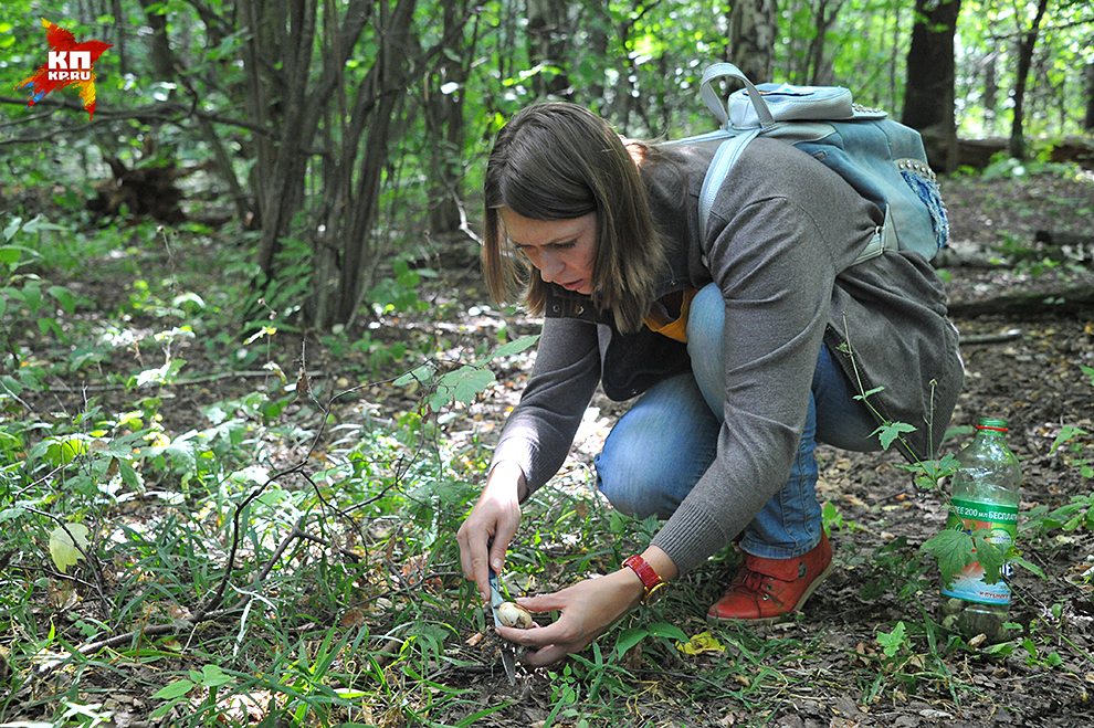Съедобные грибы попадаются в Сокольниках, но не в парке, а там глубже – в лесу Фото: Виктор ГУСЕЙНОВ