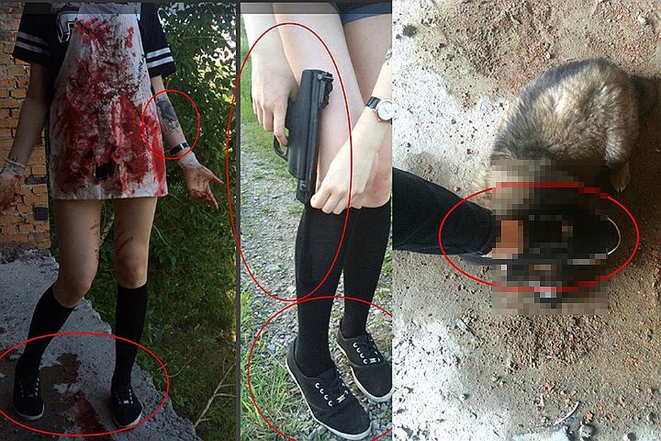 Хабаровчанки истязали собак и кошек в здании заброшенной больницы Фото: Социальные сети