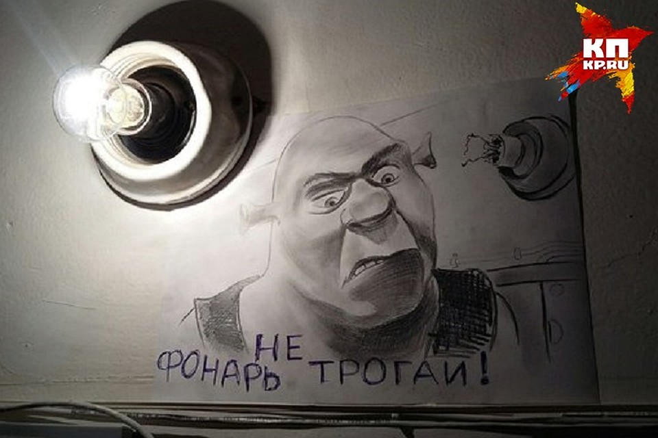Шрека воришка не испугался. Фото героя публикации