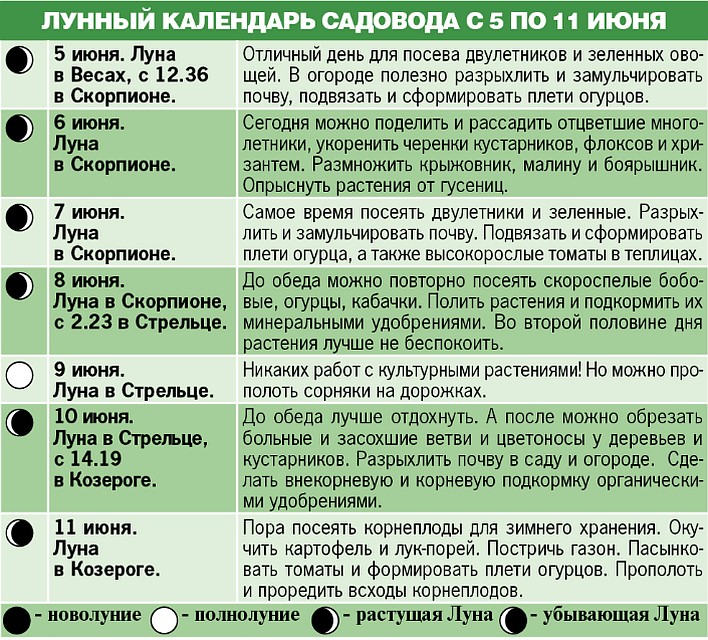 Лунный календарь садовода с 5 по 11 июня