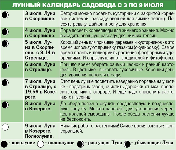 Лунный календарь садовода с 3 по 9 июля