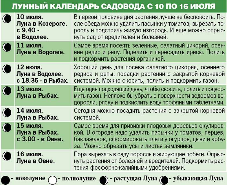 Лунный календарь садовода с 10 по 16 июля