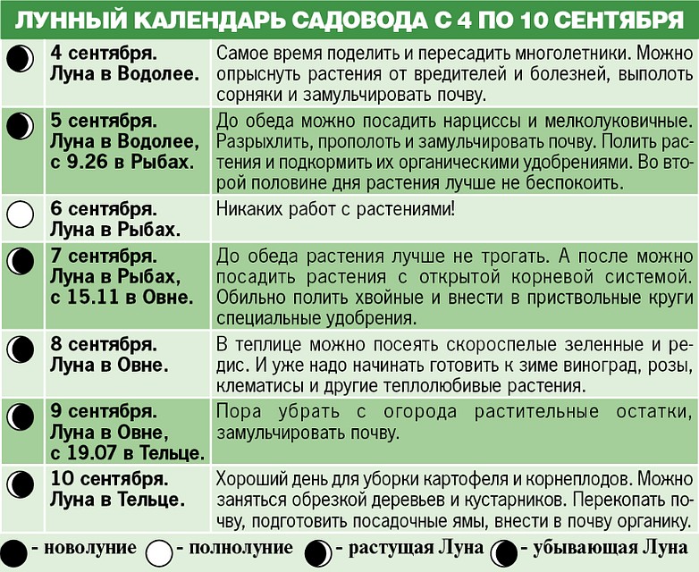 Лунный календарь садовода с 4 по 10 сентября