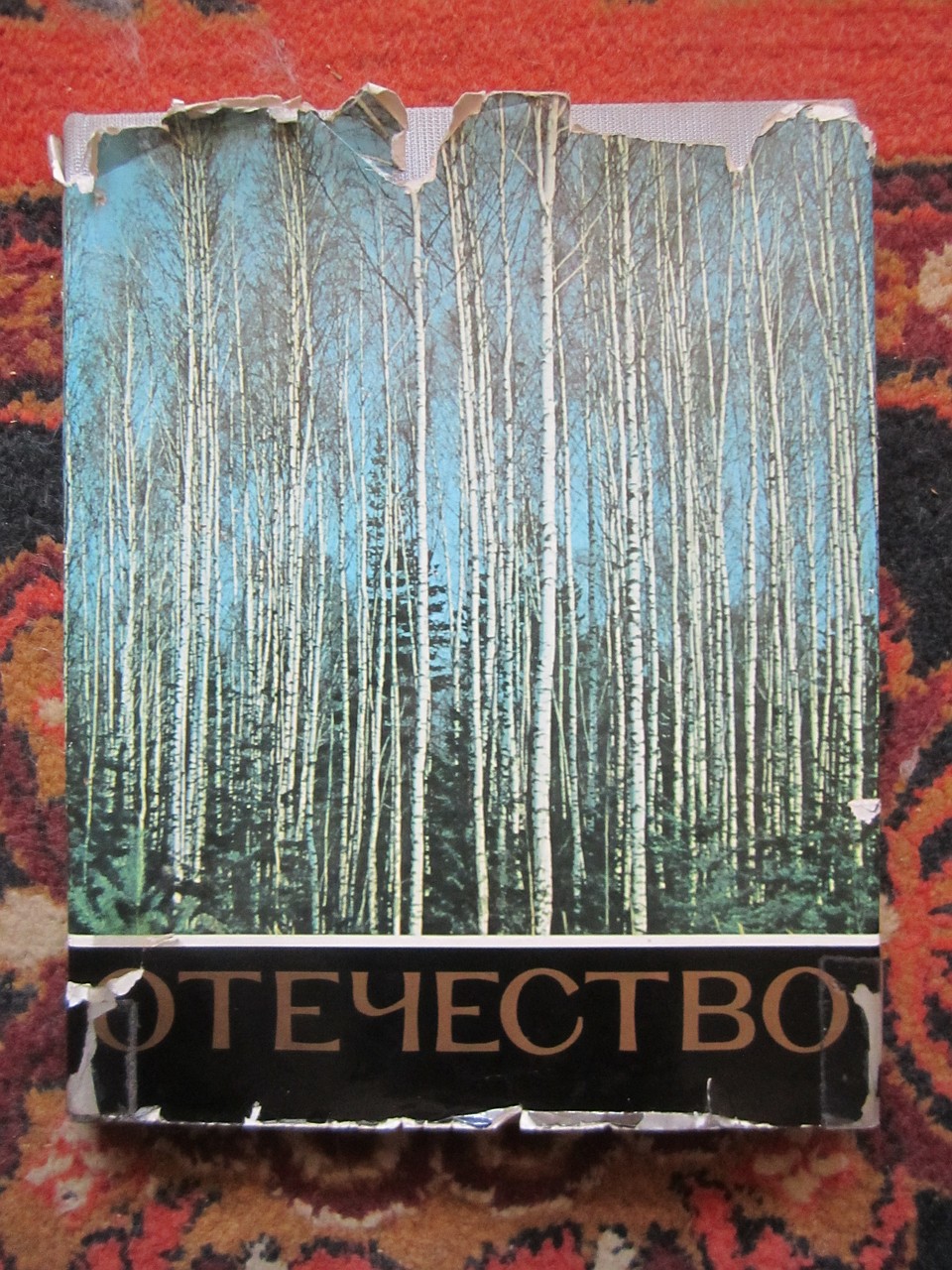 Книга Василия Пескова "Отечество".