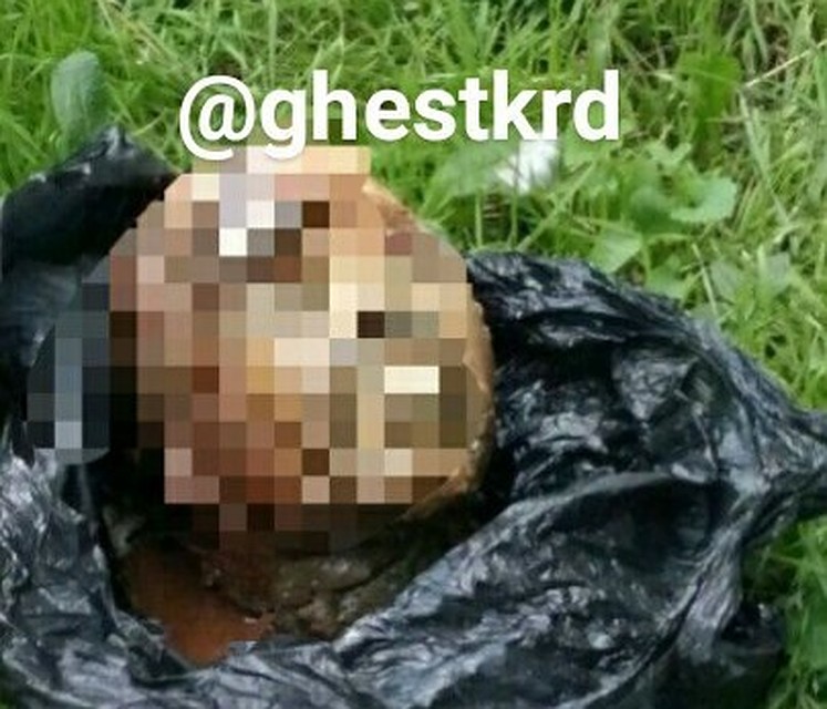 Фото: соцсети