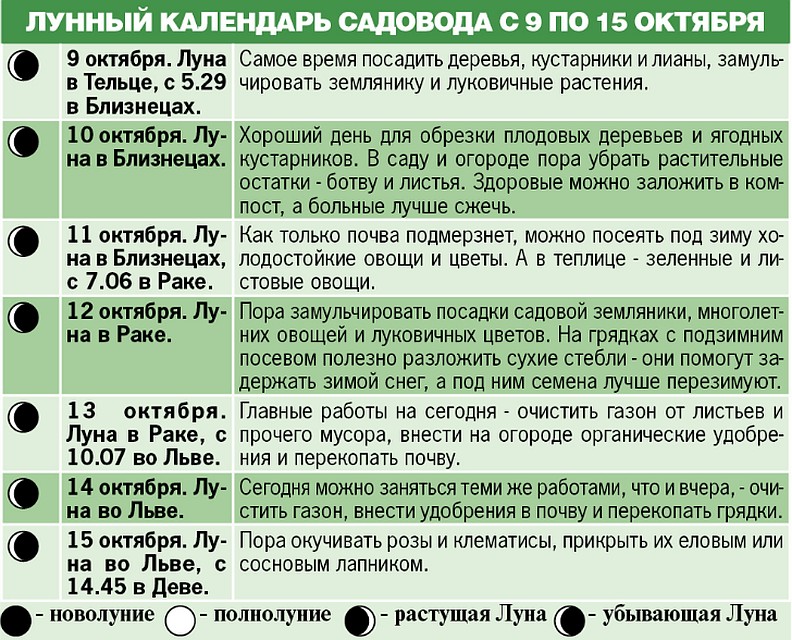 Лунный календарь садовода с 9 по 15 октября