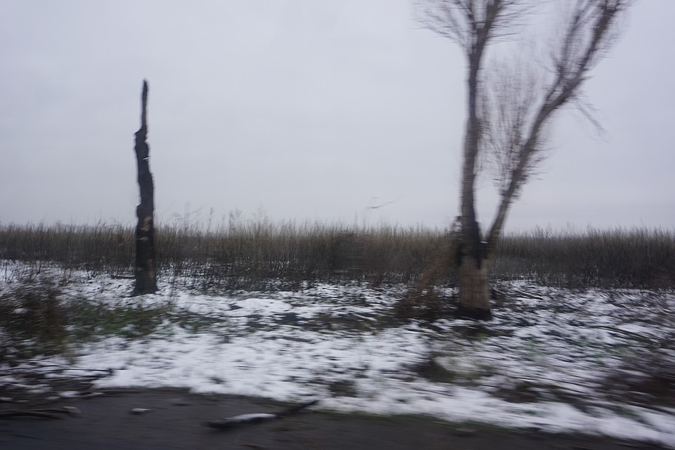 Деревья по краям дороги стоят обугленные, а сама дорога - в воронках. Фото: Юлия АНДРИЕНКО