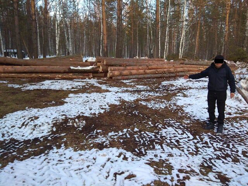 Ущерб составил 58 млн рублей. Фото: ГУ МВД по Иркутской области