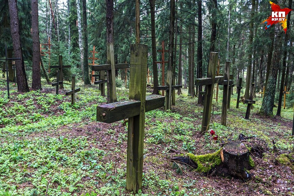 В 1999 году создали вторую комиссию, потому что наши коммунисты начали доказывать, что там похоронены жертвы нацистов. Но и вторая комиссия подтвердила: в Куропатах лежат жертвы сталинских репрессий. Фото: Дмитрий ЛАСЬКО