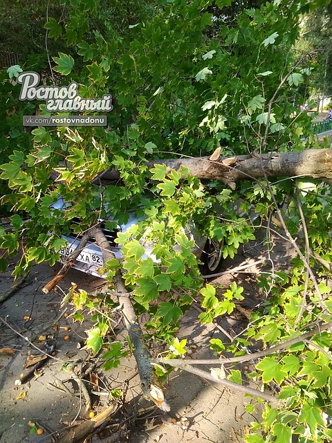 На Коммунистическом. Фото: ВК "Ростов Главный - новости Ростова-на-Дону"