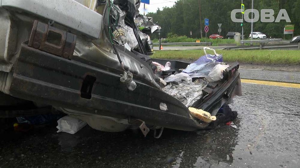 Фото: служба спасения "СОВА"