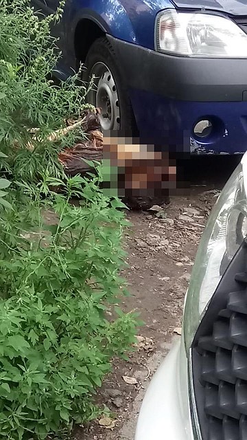 Бабушка тащила тело на халате, но он зацепился за машину и она его бросила Фото: СОЦСЕТИ