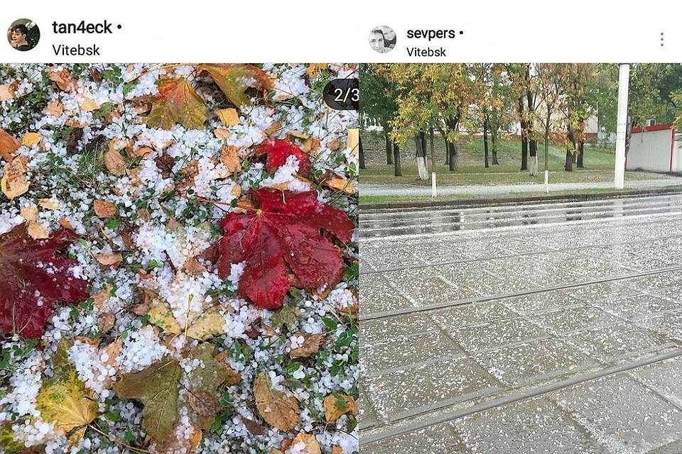 Град засыпал осеннюю листву и улицы Витебска. Фото: соцсети.