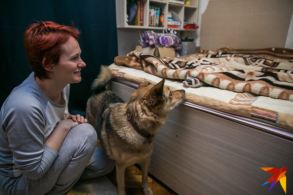 Хорькам нравится бегать под одеялом: темно, тепло - как под землей! Фото: Павел МАРТИНЧИК