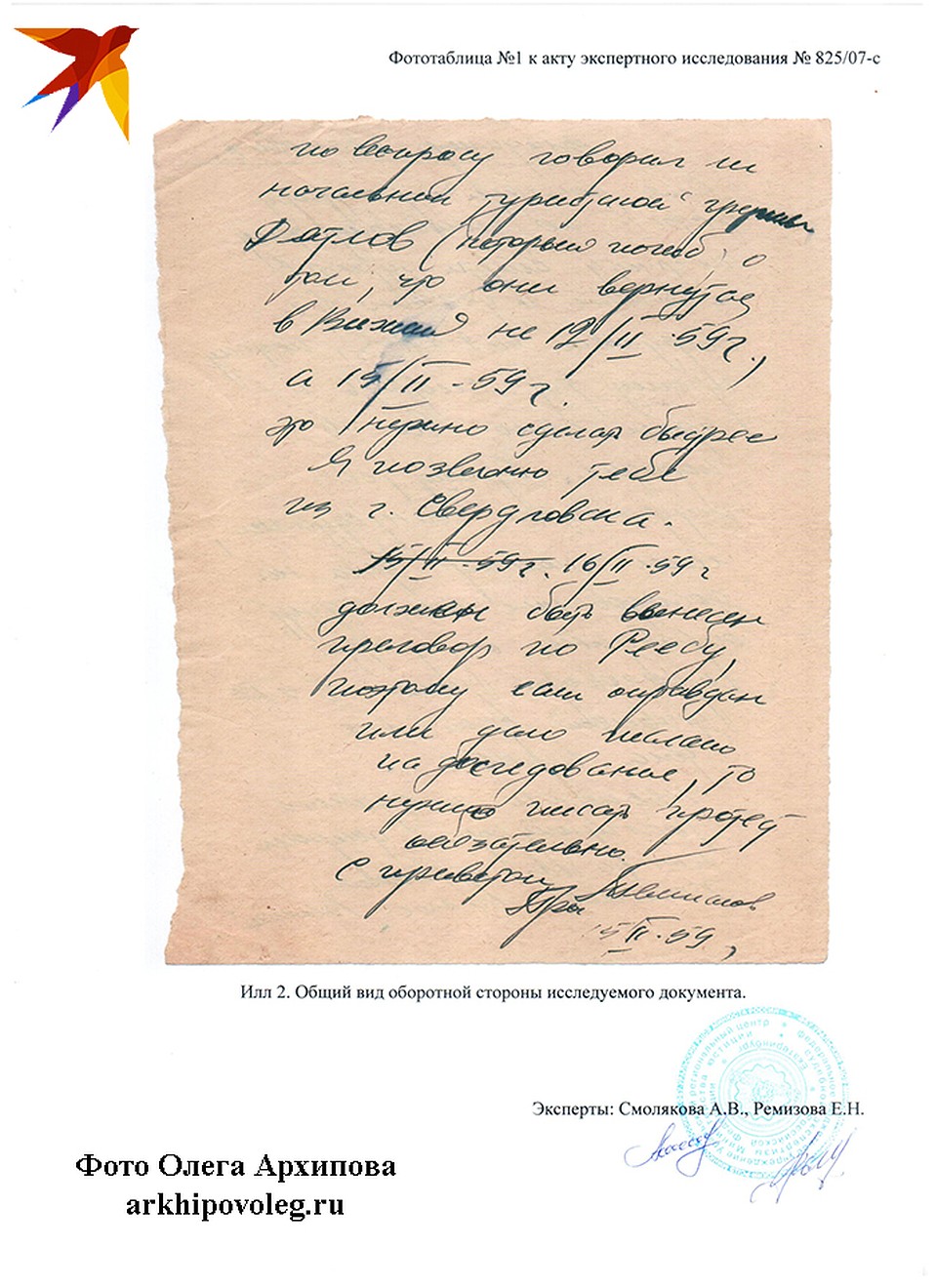 Техническая экспертиза