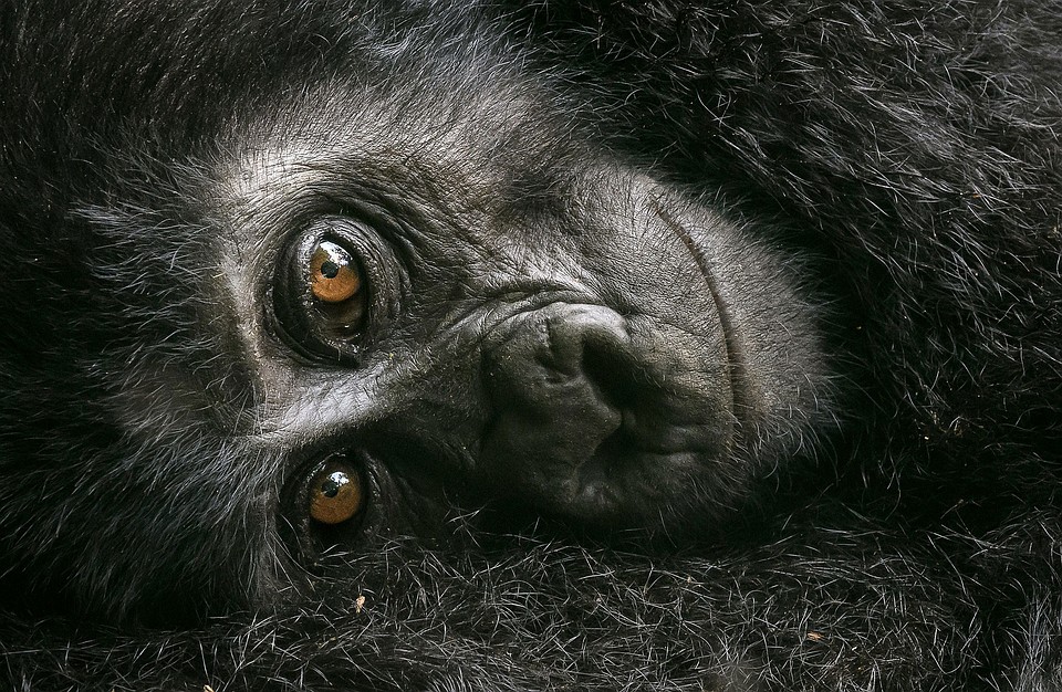 Фото: David Lloyd
