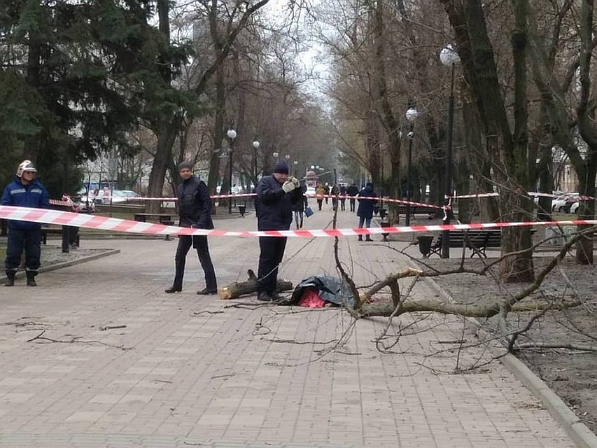 Место гибели ростовчанки Фото: СОЦСЕТИ