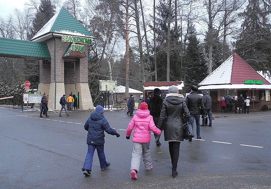 Ворота в пущу. Фото: Ульяна СКОЙБЕДА