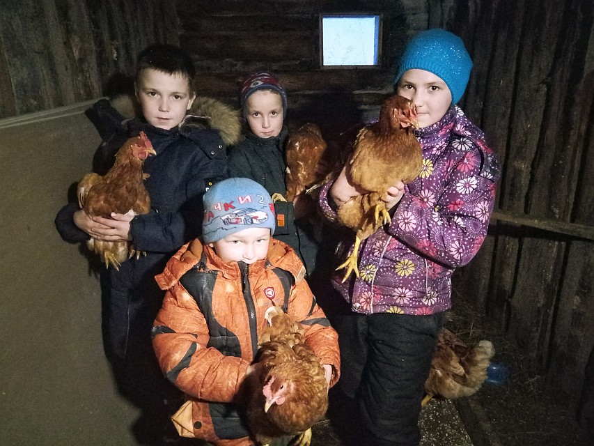 Семья также держит и кур, с которыми дети играют, пока мама не видит Фото: Елизавета Захарова