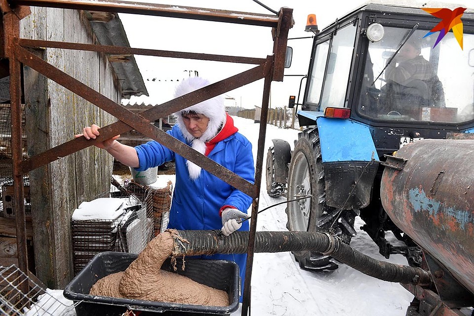 В неволе – кашу из мяса, субпродуктов, рыбы. Фото: Виктор ДРАЧЕВ