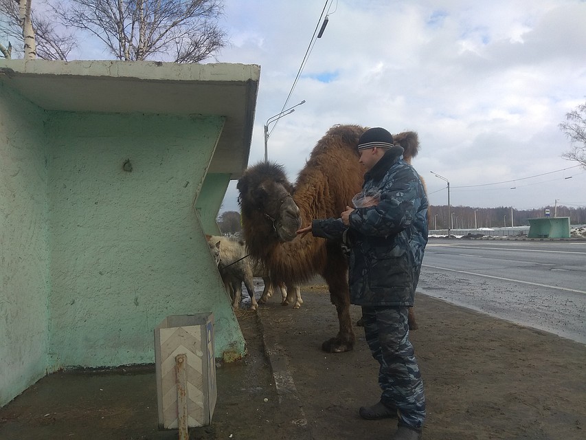 Фото: Алексей Александров