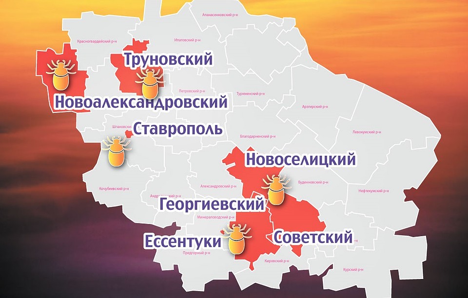 Клещи в Ставрополе в 2019 году: опасные районы на карте Фото: Евгений БОРИСОВ