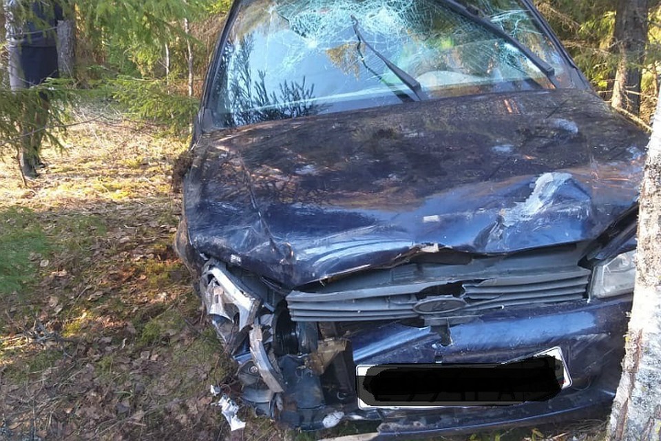 Водитель получил травмы Фото: УГИБДД по Тверской области