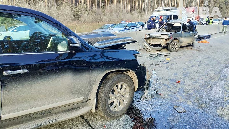Фото: служба спасения "Сова"