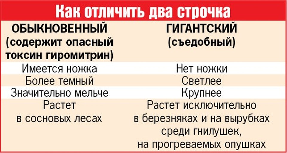 Как отличить два строчка