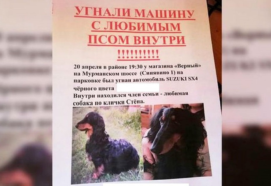 Хозяева сразу расклеяли по округе объявления после кражи автомобиля. Фото: пресс-служба УМВД России по Псковской области