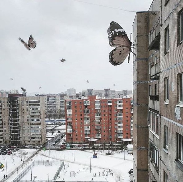 Бабочки на Вербной улице Фото: Instagram/solovyewadim