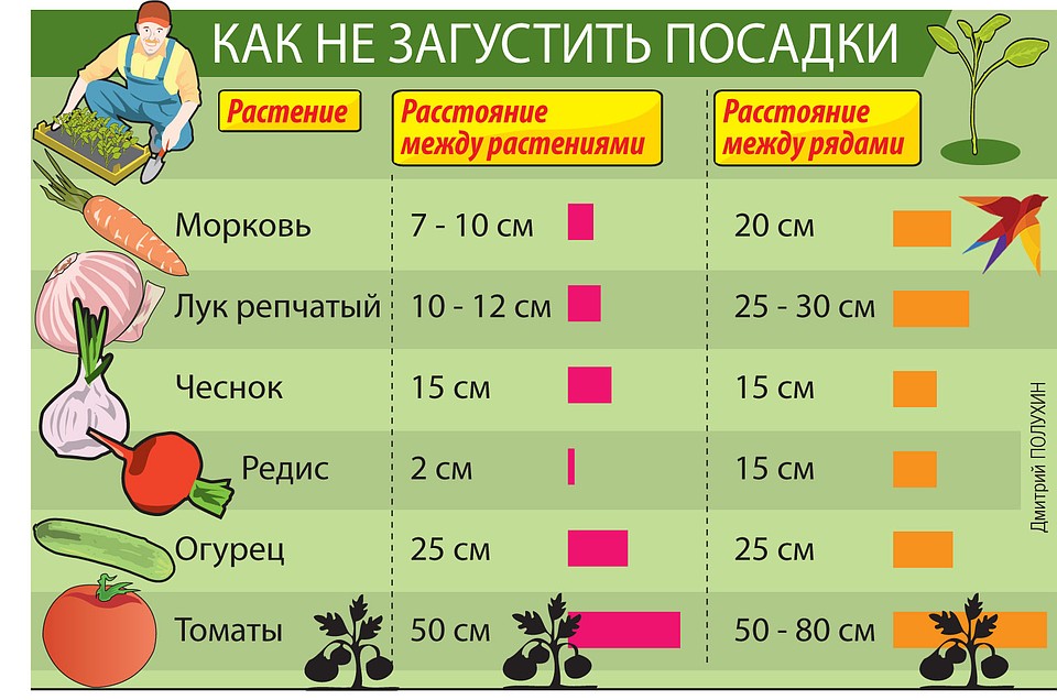 Как не загустить посадки