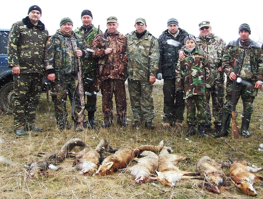 Отстрел лисицы по просьбе населения Фалештского района