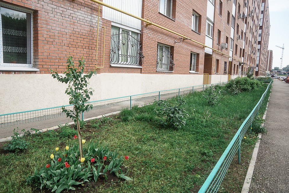 Зеленый двор - настоящее чудо Фото: Светлана МАКОВЕЕВА