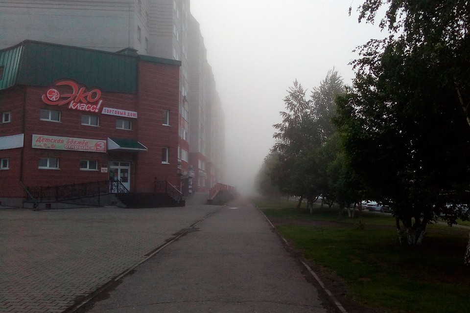 Фото: Даша Однороманенко