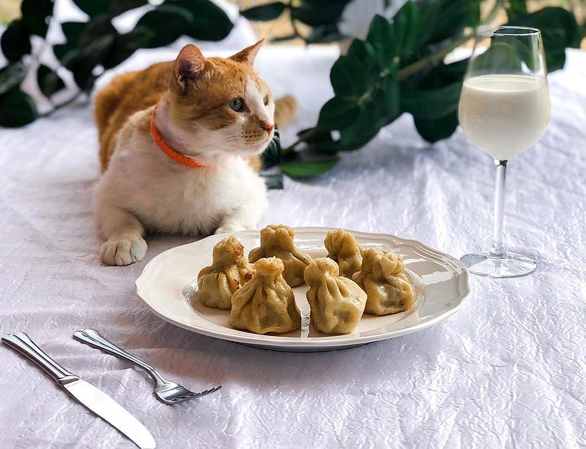 ФОТО: инстаграм cat_the_most