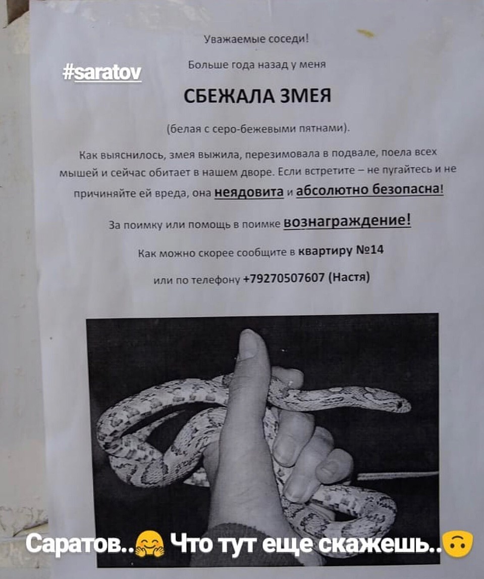 Фото из соцсетей