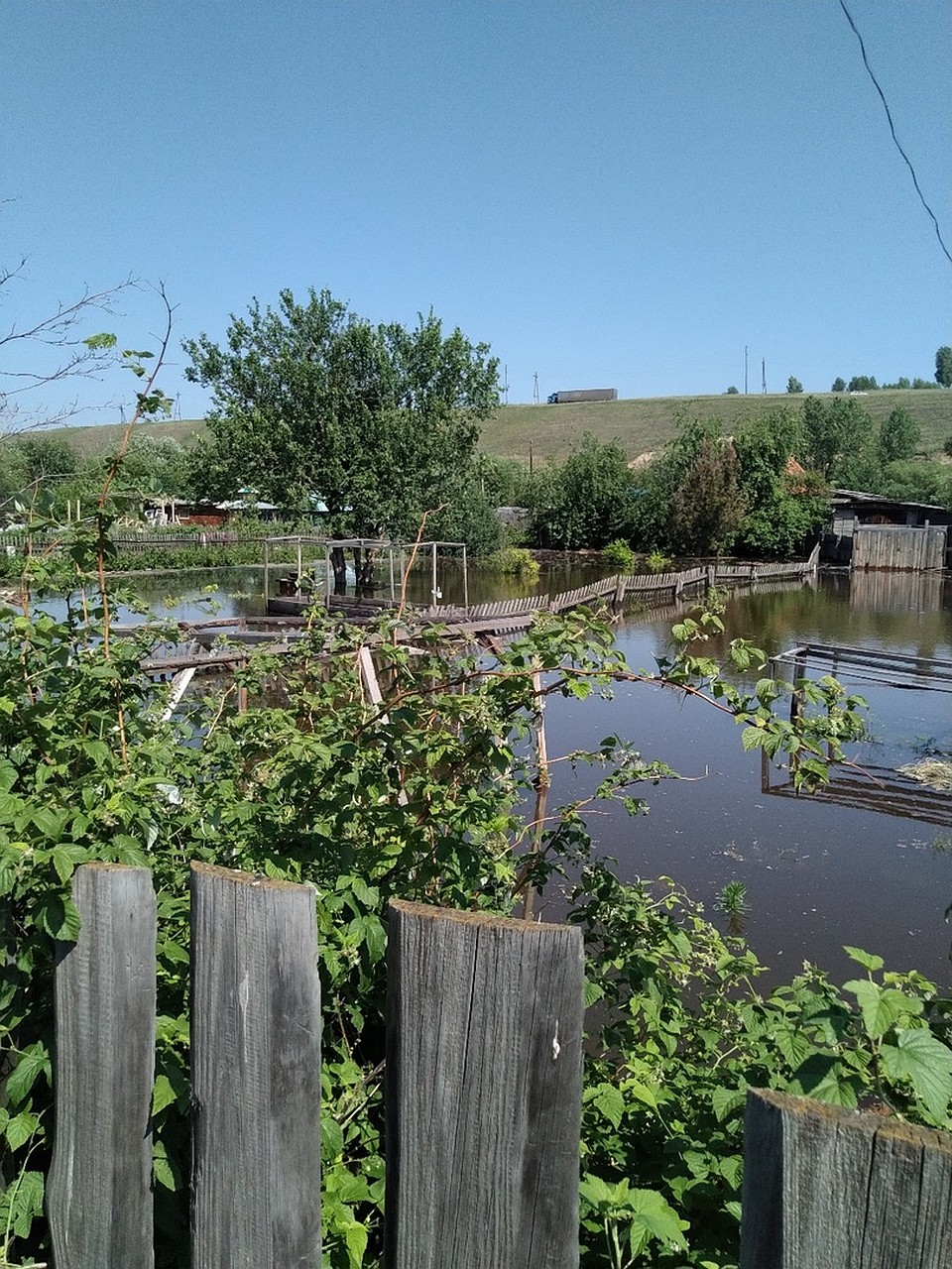 На грядках стоит вода. Фото: ЧП - Канск.