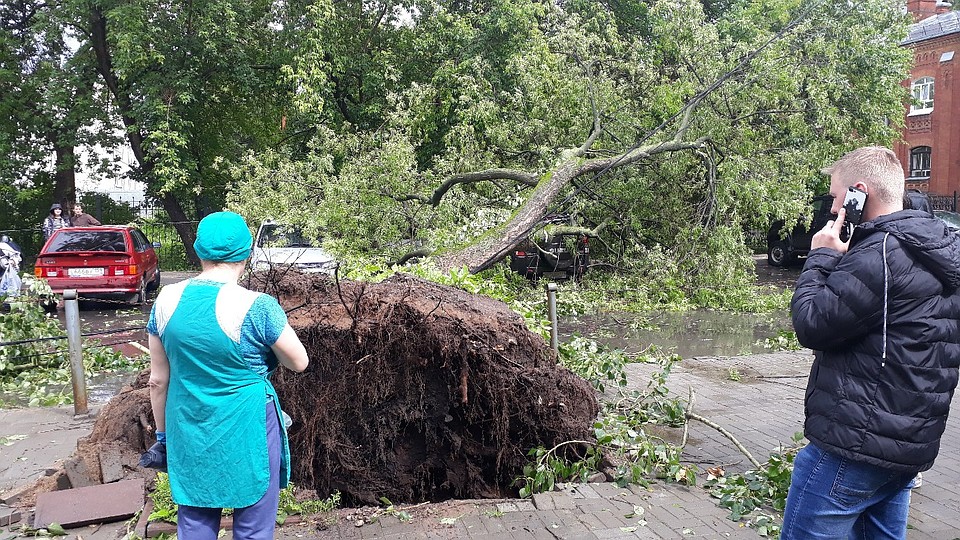 Деревья вырывало с корнем. Фото из группы "Подслушано Пермь"