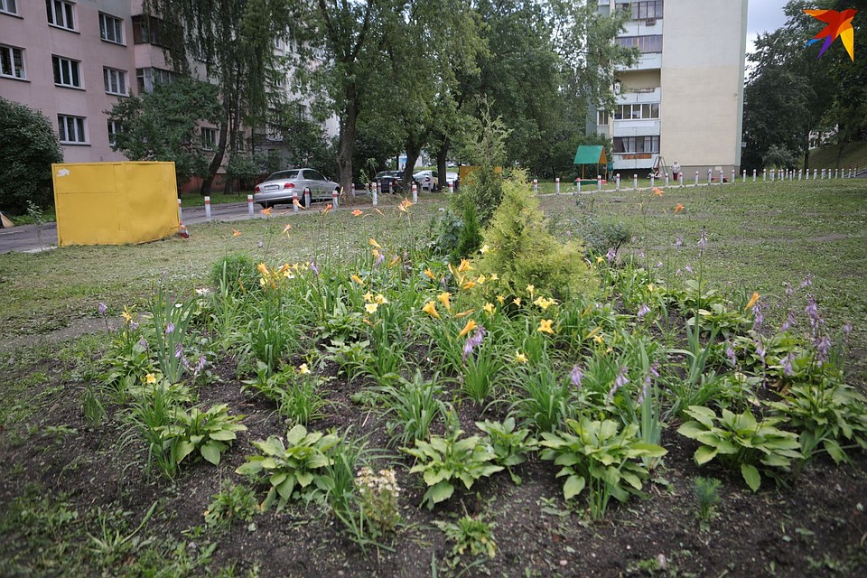 При разбивке цветника возникли неудобства из-за проходящих коммуникаций Фото: Святослав ЗОРКИЙ