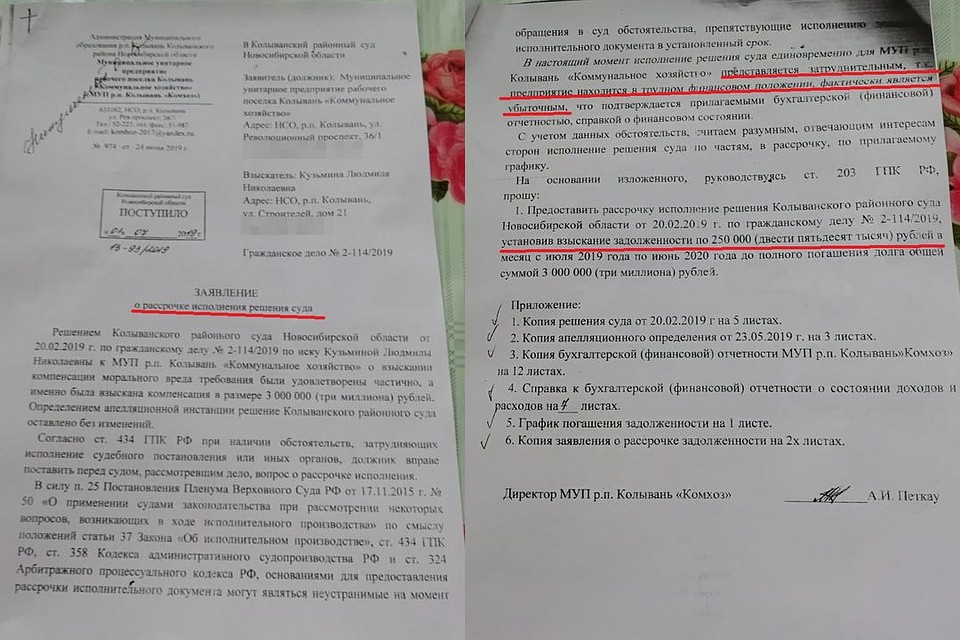 Заявление о рассрочке, которое написали в суд коммунальщики. Фото: предоставлено Людмилой Кузьминой.